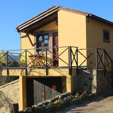 Palheiro Do Malgas Bed & Breakfast Lousa  Exterior photo