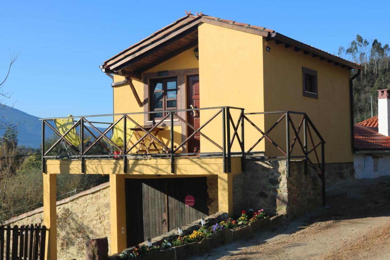 Palheiro Do Malgas Bed & Breakfast Lousa  Exterior photo